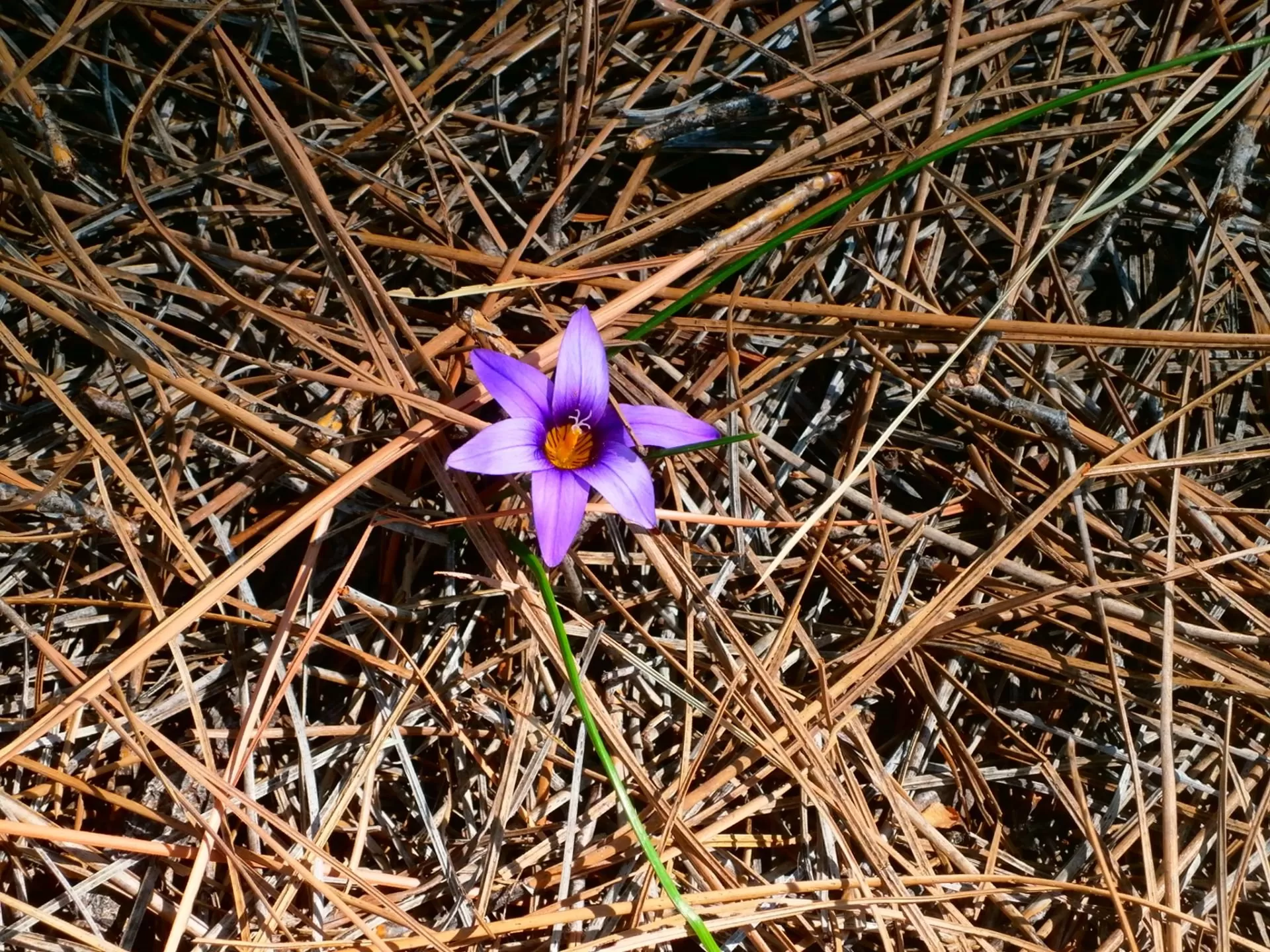 Individuální poradenství / terapie